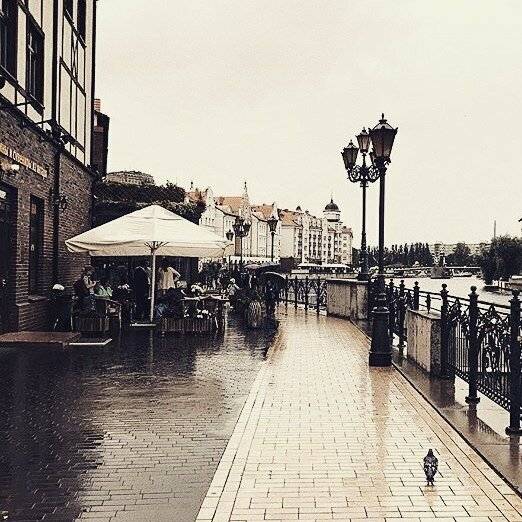 Фото Гостиницы KoikaGo Калининград 17