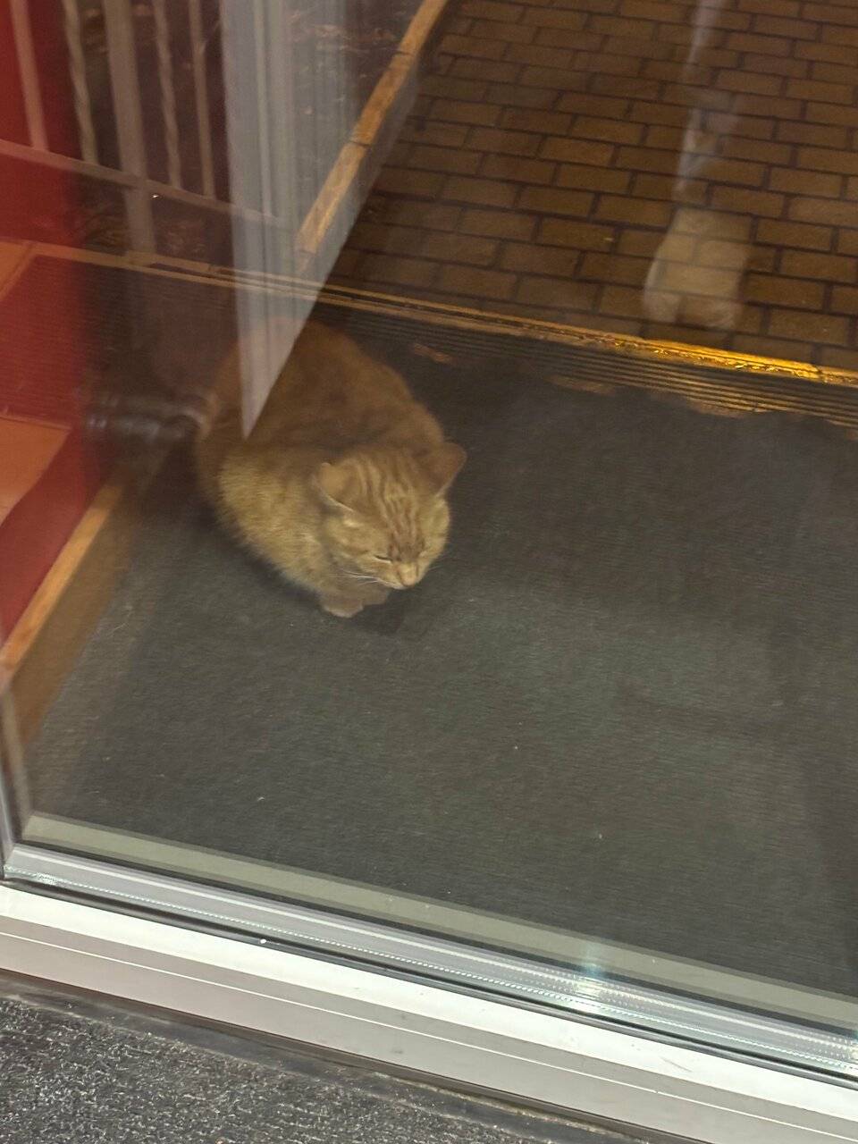 Фото Гостиницы KoikaGo Калининград 24