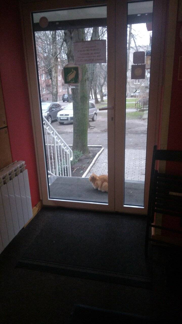 Фото Гостиницы KoikaGo Калининград 68